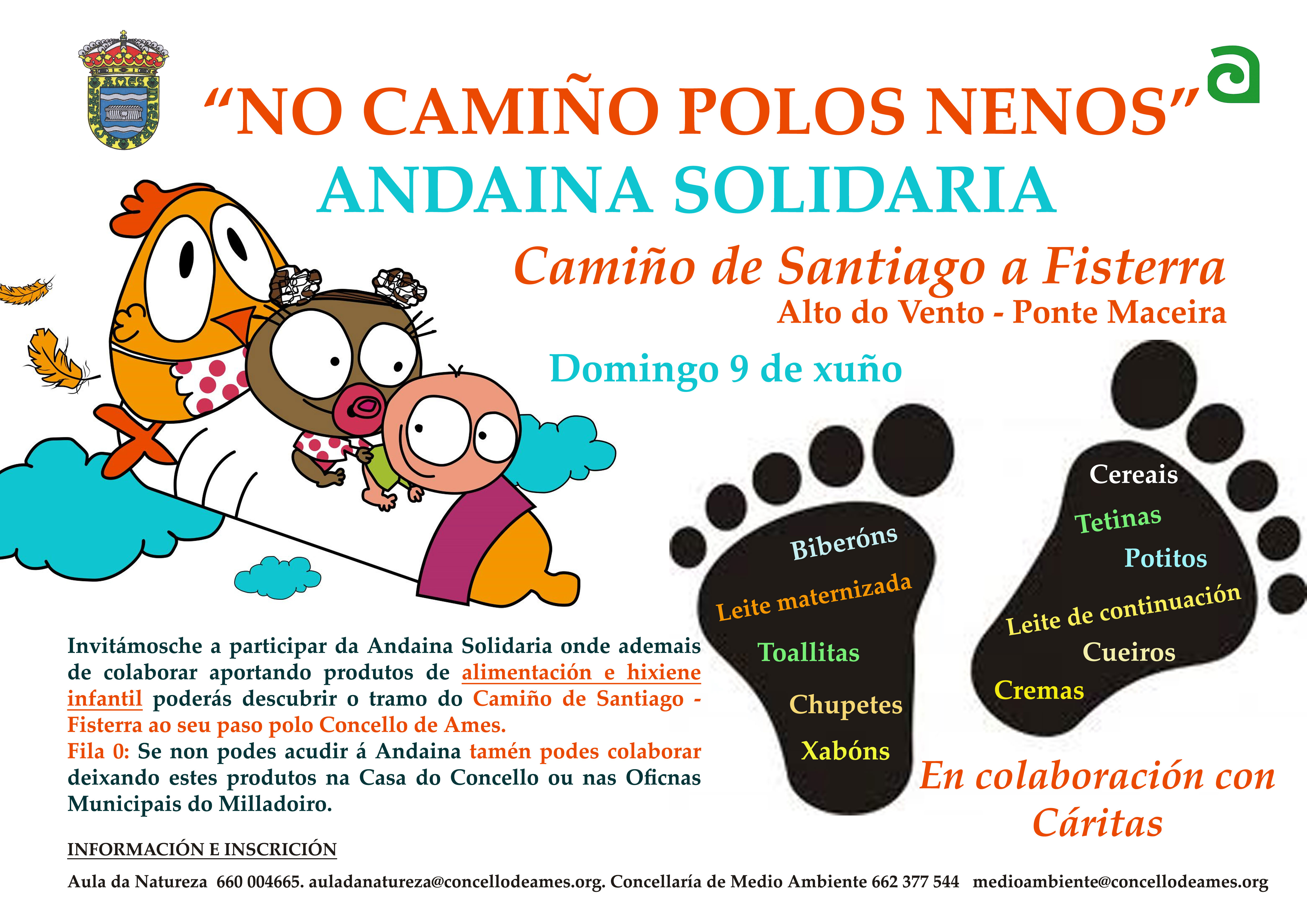 2013-Andaina-solidaria-Ames-peq